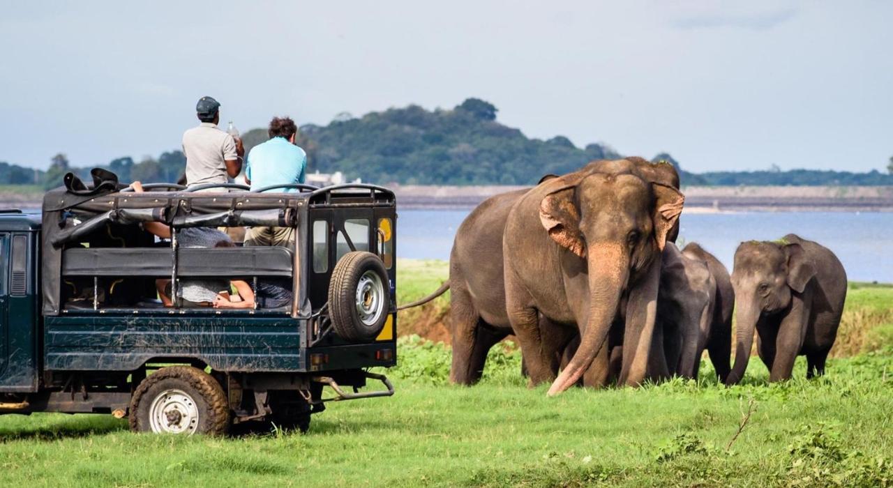 Dinesh Safari Homestay Udawalawe Zewnętrze zdjęcie